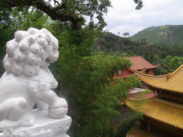 南阳石狮子哪里好？